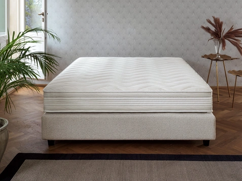 Elegance Memory Plus